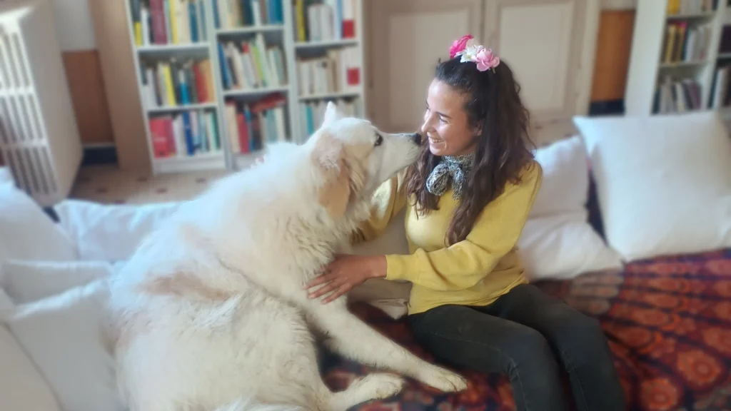 Animal Conex Home 1024x576