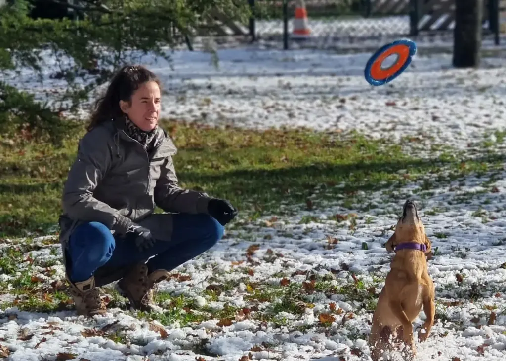martha de almeida animal conex