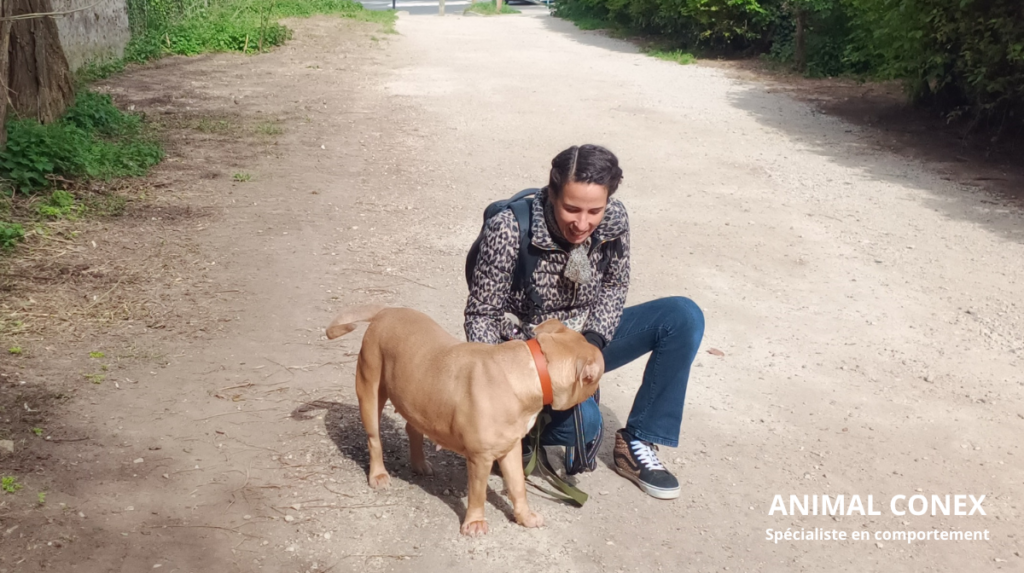 martha de almeida comportementaliste a boissy education chien 94