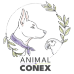 l animalconex rvb 72dpi