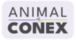 l animalconex typo fondviolet rvb 72dpi