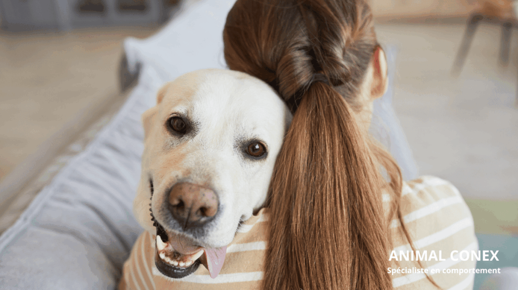 hyper attachement chien humain comportementaliste canin martha animal conex