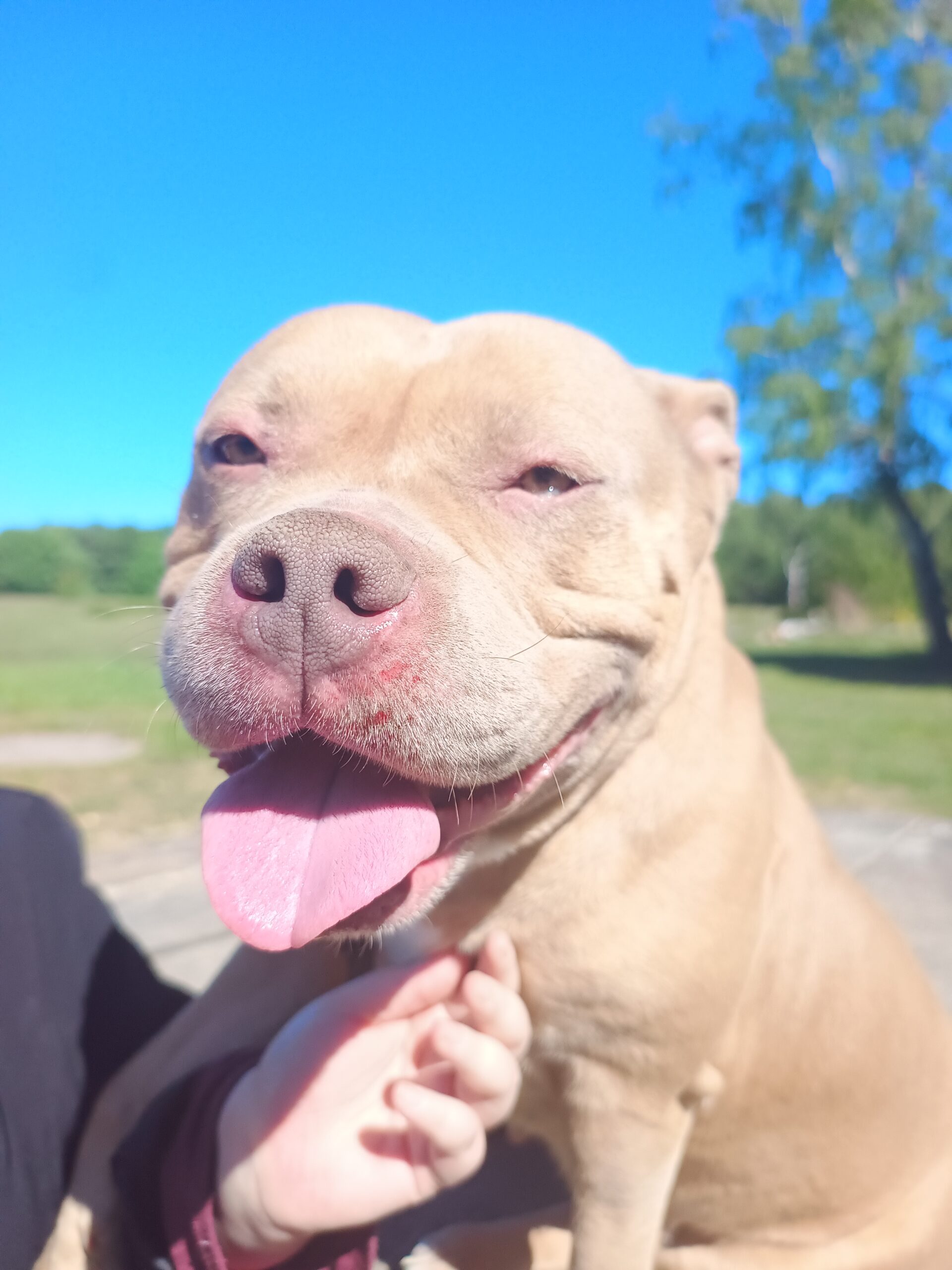 martha animal conex 94 nala