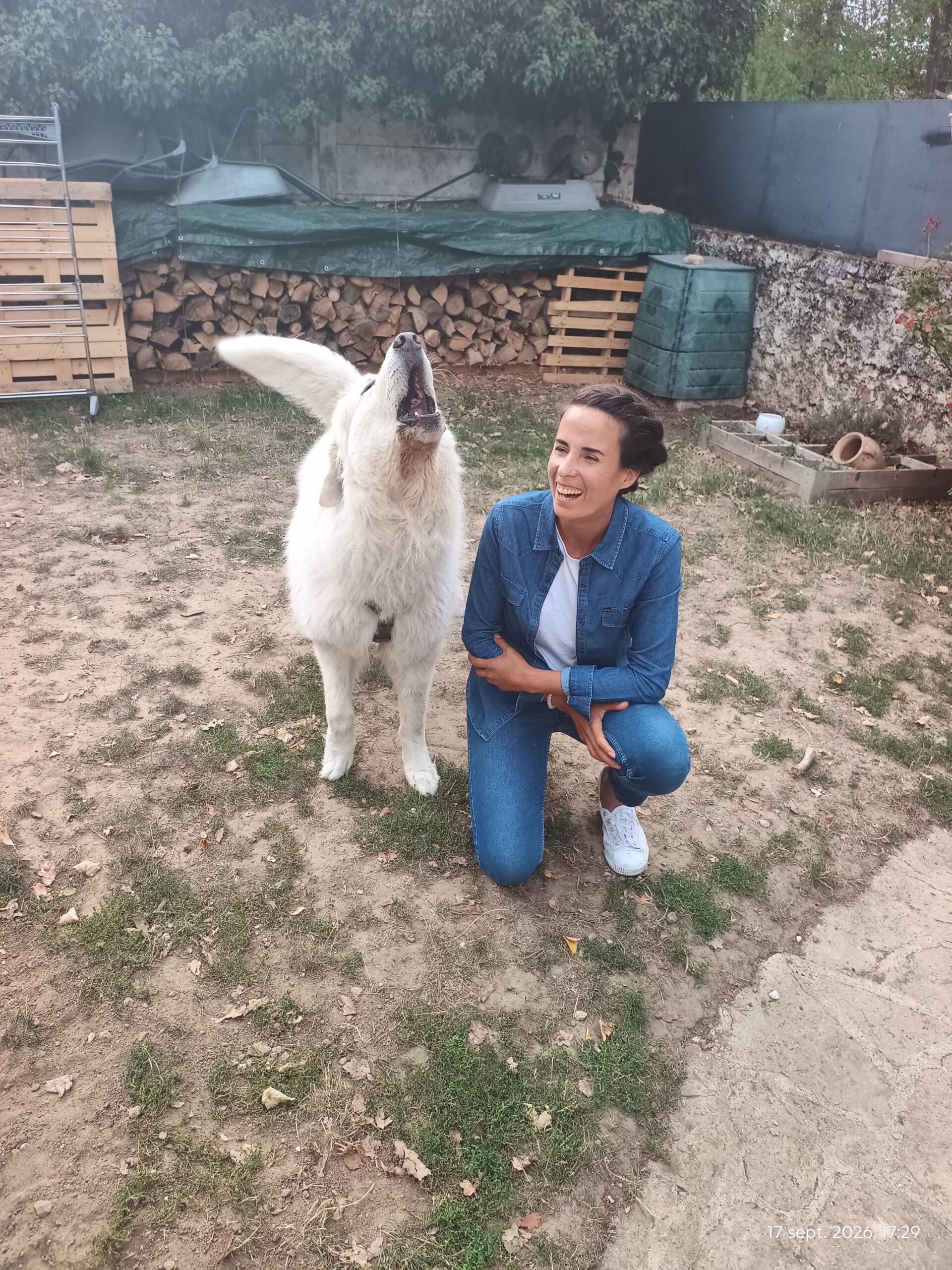 animal conex comportementaliste canin val de marne 94 martha de almeida aba (14)